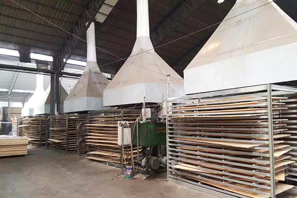 桐木黄瓜视频黄片下载材熱壓機工作現場